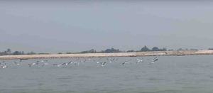 পাটিবুনিয়া নদীতে নৌকা বিহার | Boat Ride on Patibunia River